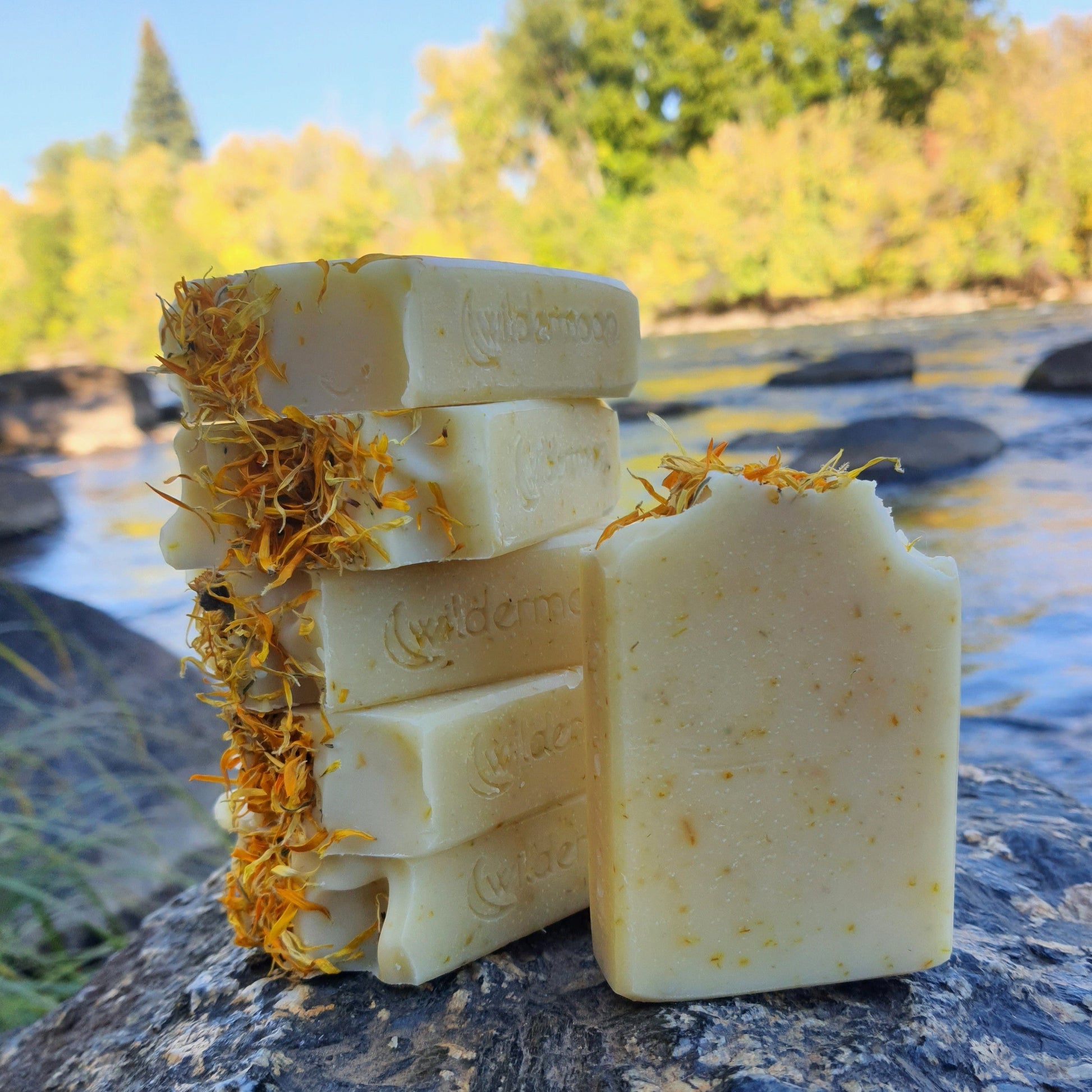 sunburst citrus and calendula artisan handmade soap. rectangular, pale yellow soap with ground calendula specks and dried calendula petals on top with wildermoon logo stamp on side.