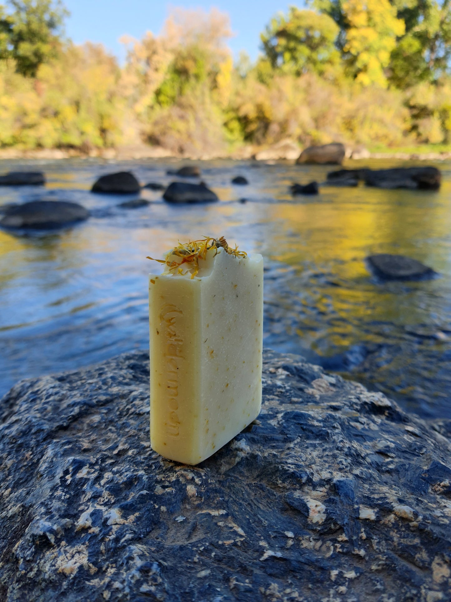 sunburst citrus and calendula artisan handmade soap. rectangular, pale yellow soap with ground calendula specks and dried calendula petals on top with wildermoon logo stamp on side.